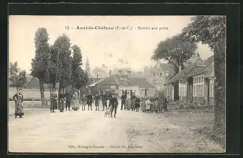 AK Auxi-le-Chateau, Marché aux porcs