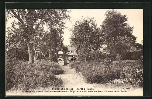 AK Fleurines, Foret d`Halatte, L`Auberge du Grand Cerf et Saint-Hubert