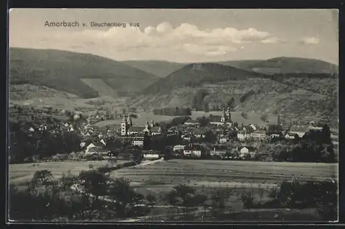 AK Amorbach, Ort vom Beuchenberg gesehen