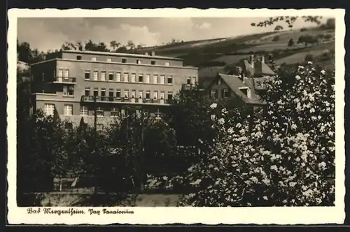 AK Bad Mergentheim, Das Sanatorium