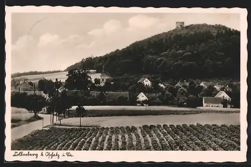 AK Collm, Teilansicht mit Collmberg