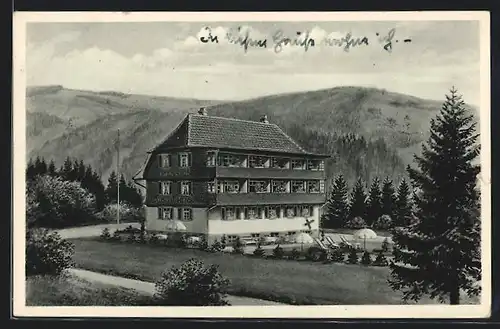 AK Höchenschwand /Schwarzwald, Haus Höhensonne