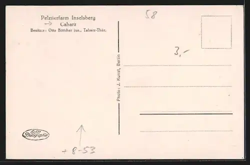 AK Cabarz, Pelztierfarm Inselsberg, 4 Monate alte Jungfüchse