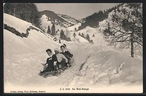 AK En Bob-Sleigh, Schlitten