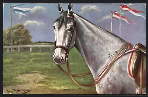 Künstler-AK August Müller - München: Gesattelter Schimmel