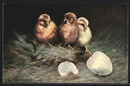 Künstler-AK August Müller - München: Frisch geschlüpfte Kücken betrachten ihre Umgebung