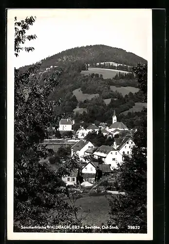 AK Waldbach i. d. Steiermark, Ortstotale mit der Kirche