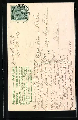 AK Osterhase mit Laub und Eiern