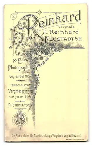 Fotografie H. Reinhard, Neustadt i. Pfalz, Dame im Rüschenkleid