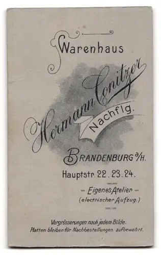 Fotografie Hermann Conitzer, Brandenburg a. H., Hauptstr. 22, Dame im plissierten Kleid