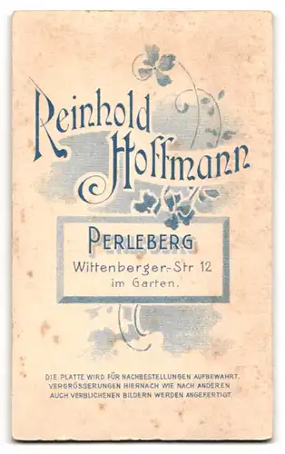 Fotografie Reinhold Hoffmann, Perleberg, Wittenberger-St. 12, Junge Dame im schwarzen Kleid