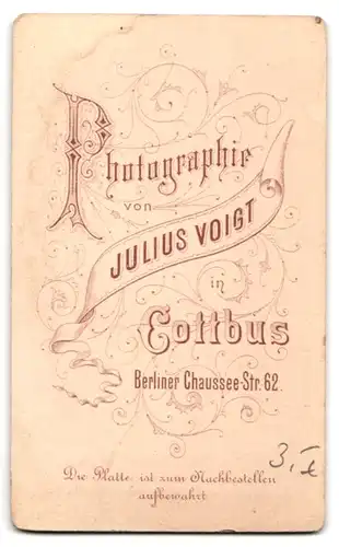 Fotografie Julius Voigt, Cottbus, Berliner Chaussee-Str. 62, Bürgerlicher Herr mit Oberlippenbart