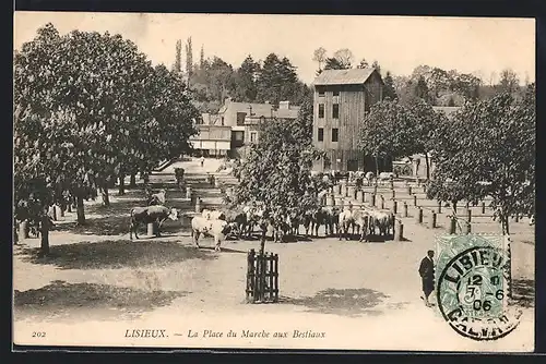 AK Lisieux, La Place du Marché aux Bestiaux