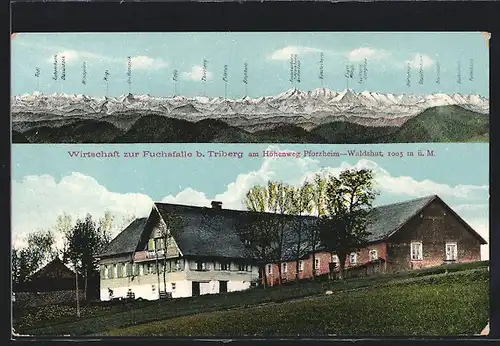 AK Triberg, Gasthaus Fuchsfalle, Panorama