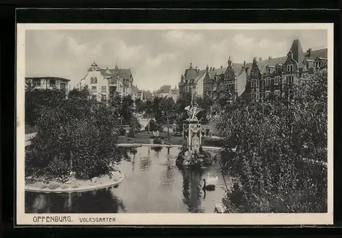 AK Offenburg, Schwäne im Volksgarten