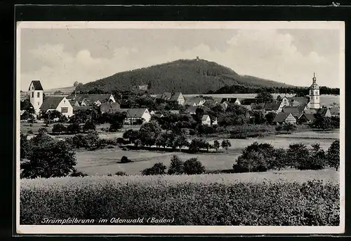 AK Strümpfelbrunn / Odenwald, Totale von der Bergwiese aus gesehen