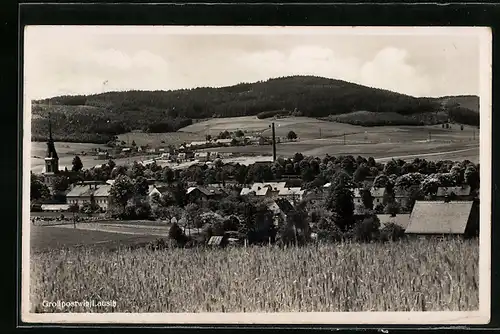 AK Grosspostwitz /Laus., Ortsansicht mit Feldern und Waldblick