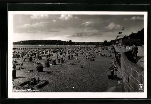 AK Berlin-Wannsee, Blick auf Strandleben, 