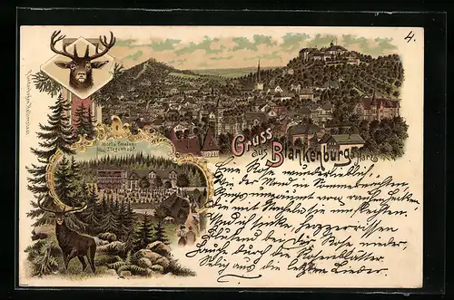 Lithographie Blankenburg /Harz, Gesamtansicht, Hotel und Pension Ziegenkopf