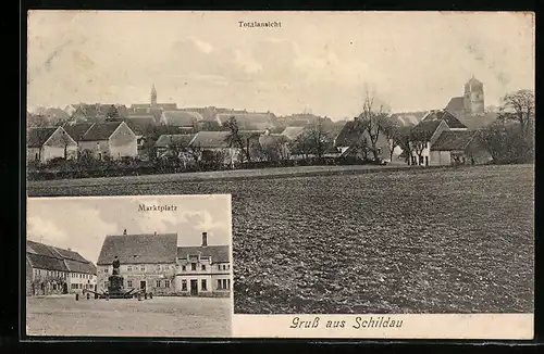 AK Schildau, Totalansicht, Marktplatz