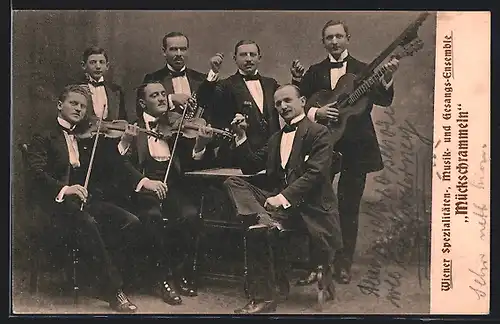 AK Wiener Spezialitäten-, Musik und Gesangs-Ensemble Mückschrammeln, Musiker