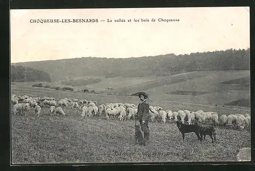 AK Choqueuse-les-Besnards, La vallee et les bois de Choqueuse