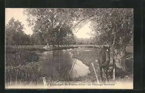 AK Liancourt-St-Pierre, Un Pâturage Normand, Weide mit Pferd