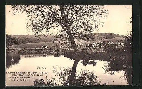 AK Montagny-en-Vexin, L`Etang et Paturages du Bout-du-Bois