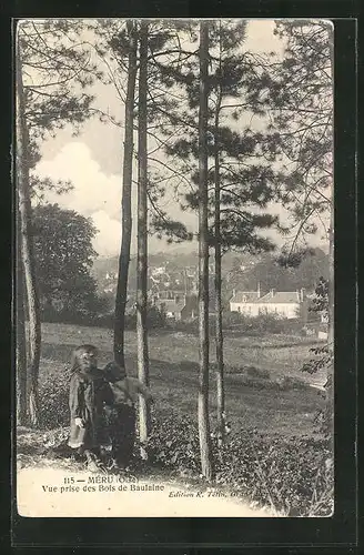 AK Méru, Vue prise des Bois de Baulaine