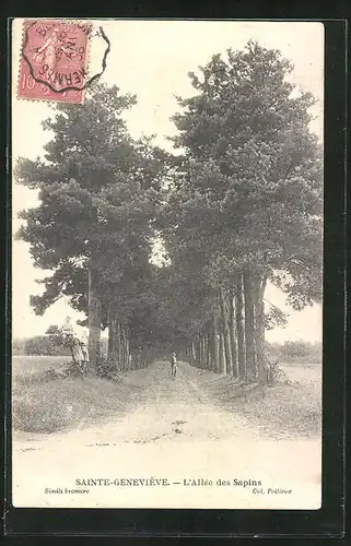 AK Sainte-Geneviève, L`Allée des Sapins