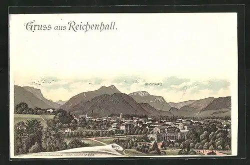 Lithographie Reichenhall, Ortsansicht aus der Vogelschau