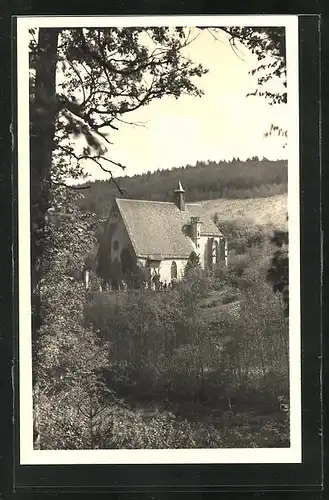 AK Creglingen a. d. Tauber, Blick auf die Herrgottskirche
