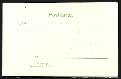 AK Björnstjerne Björnson, norwegischer Dichter