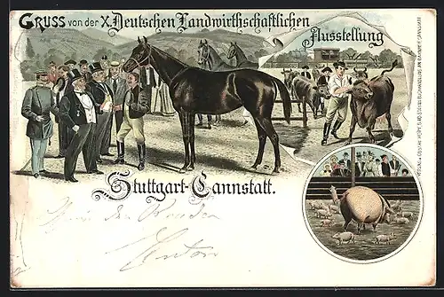 Lithographie Stuttgart-Cannstadt, X. Deutsche landwirtschaftl. Ausstellung, Rindervorführung, Pferdehändler, Muttersau