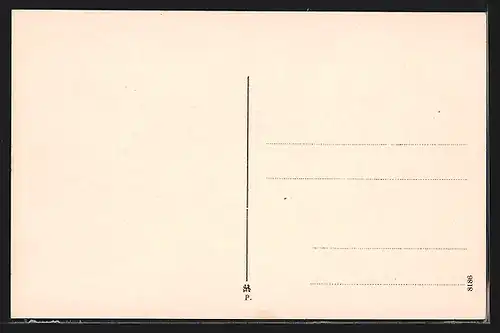 AK Laibach, Blick über die Dächer der Stadt