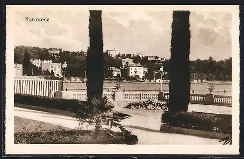 AK Portorose, Zypressen an der Promenade