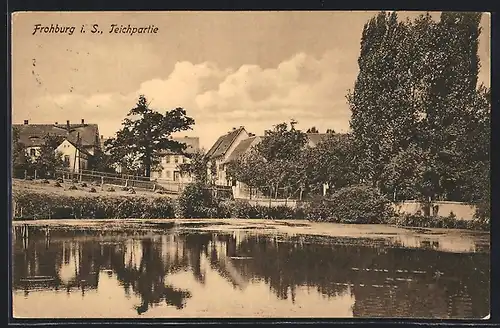 AK Frohburg i. S., Teichpartie