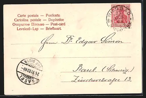 AK Wildbad, Partie a. d. Kgl. Anlagen