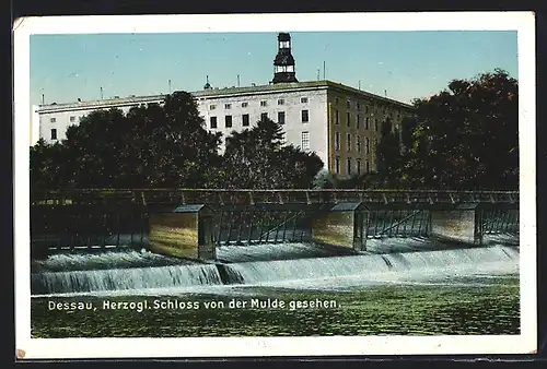 AK Dessau, Herzogl. Schloss von der Mulde gesehen