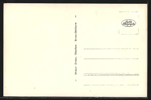 AK München, Blick aus der Turmstube des Peterturms