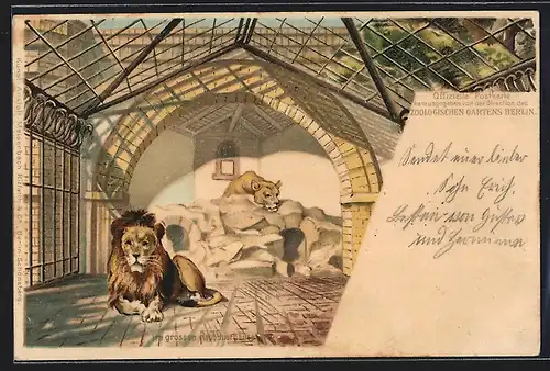 Lithographie Berlin, Zoologischer Garten, Im grossen Raubtierhaus, Löwen