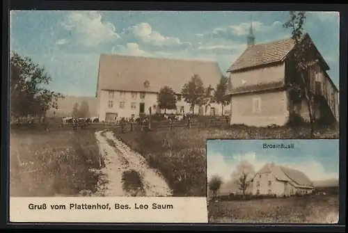 AK St. Peter, Plattenhof von Leo Saum, Brosihäusli