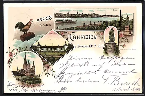Lithographie Bonn, Gasthaus Hähnchen, Universität, Münster
