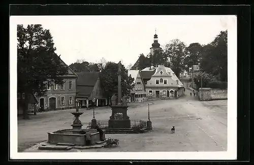 AK Rokitnitz / Rokytnice v Orlickych Horach, Platz mit Säule u. Brunnen, Hund