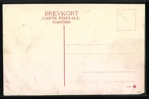 AK Wejle Sö, Holte, dänische Flagge am Seesteg