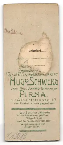 Fotografie Hugo Schwerg, Pirna, Albertstrasse 13, Junge im Anzug, Uhrenkette