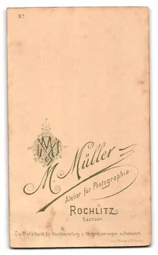 Fotografie M. Müller, Rochlitz, Junger Herr mit Fliege