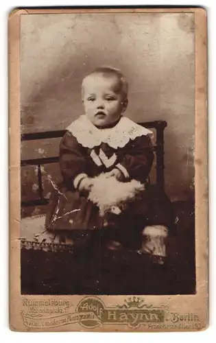 Fotografie Adolf Haynn, Berlin, Frankfurter Allee 197, Kleines Kind im Kleid mit Spieltier