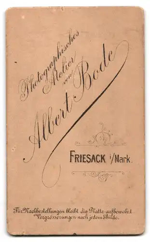 Fotografie Albert Bode, Friesack i. Mark, Süsses Kleinkind im karierten Kleidchen