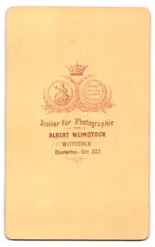 Fotografie Albert Weinstock, Wittstock, Oberketten-Strasse 527, Bürgerliche in mittleren Jahren in elegantem Kleid